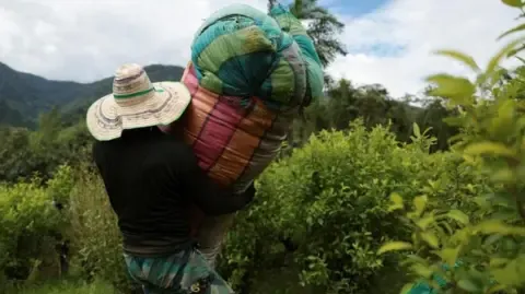 US Labels the South American Nation as Non-Cooperative in Anti-Drug Efforts