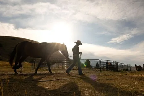 Get to Know the American Women Ranchers Redefining Contemporary Ranching