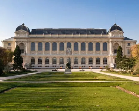 Historic Golden Samples Snatched in Bold Heist at France's National Institution
