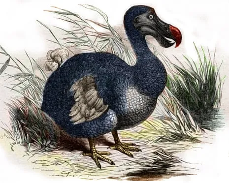 Scientists State They Have Achieved a ‘Major Breakthrough’ in Bringing Back the Extinct Bird for the Very First Occasion in Multiple Generations